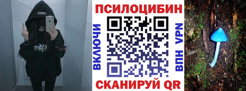 ссылка на мегу ссылка  Сасово  Галлюциногенные грибы Psilocybine cubensis  сколько стоит 