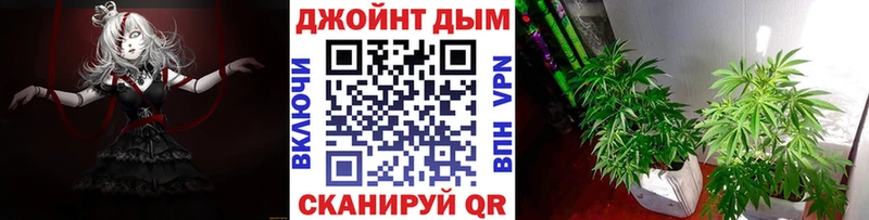Шишки марихуана план  Сасово 